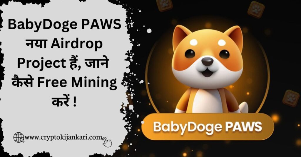 Baby Doge PAWS Airdrop kya hai